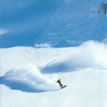 Cargar imagen en el visor de la galería, GURU IV